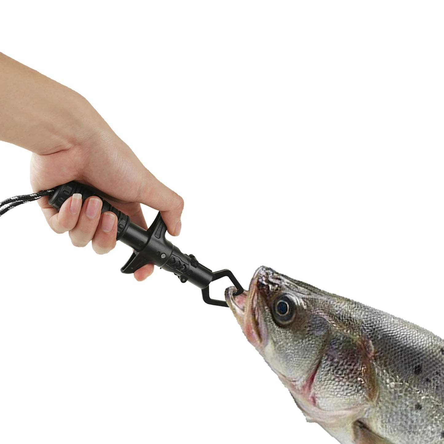 Fishing Pliers and Gripper Set Fishmen Muti-Function Fishing Gear Hook Remover Ice Fishing Tool Flyfishing Gear Gifts for Men