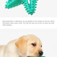 Dog Toys For Large Dogs Tooth Cleaning Chew Funny Interactive Training Starfish Toy Accessories Squeaky Toys TPR Toys Beagle