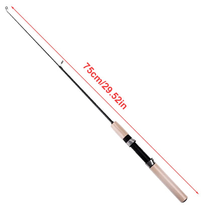 FISH KING Ice Fishing Rod Winter Short Fiber Telescopic Pole Portable Fish Trackle Accessories for Freshwater Saltwater