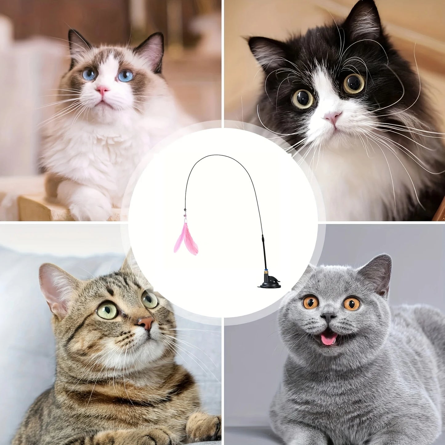 Pet toys, powerful suction cups, cat toys, feather self-entertainment and boredom, cat and dog toys, pet supplies