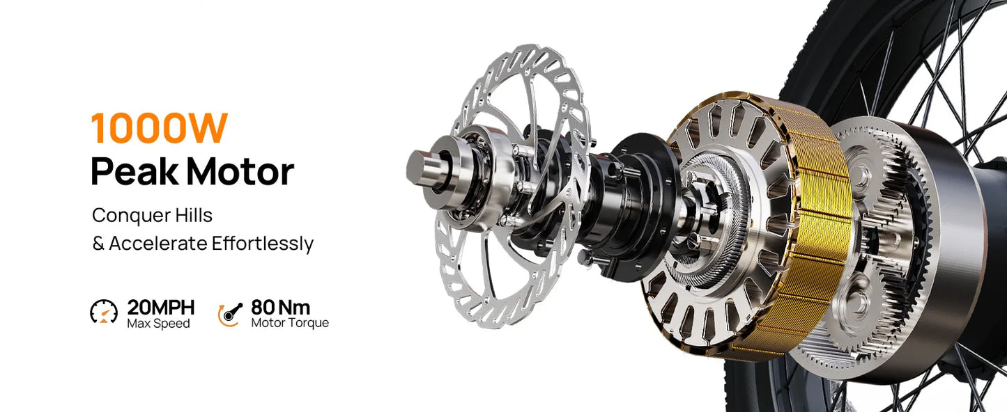 1000W E20 Electric Bike | 48V 13Ah Removable Battery, 20MPH, 20''X3" Fat Tire, 7-Speed Electric Bicycles with Dual Disc Brake