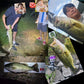 BIUTIFU Baitcasting Spinning Travel Carbon 4/5 Section Fishing Rods Casting Weight 5-20g Power Ultralight Lure Trout Mini Pole