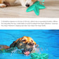 Dog Toys For Large Dogs Tooth Cleaning Chew Funny Interactive Training Starfish Toy Accessories Squeaky Toys TPR Toys Beagle