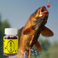 Freshwater Fish Attractant Fishing Bait Additive Natural Flavor Particle Fishing Lure Concentrated Fish Bait Fishing Food Bait