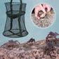 Folding Fishing Net Shrimp Fish Trap Carp Large Creel Feeder Crab Catchers Surfcasting Accessories Cast Network