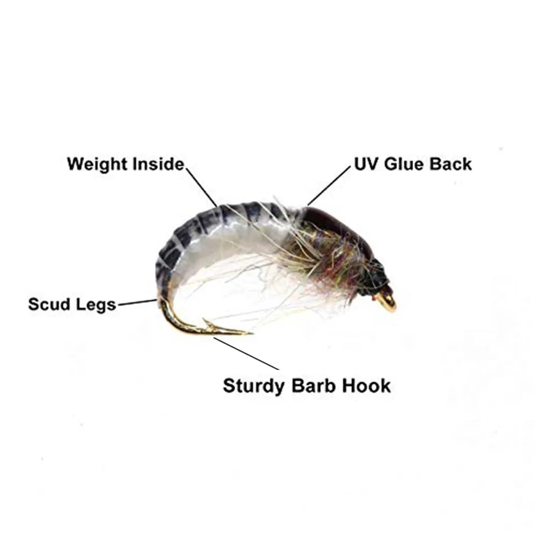 Hot Sea Fishing, River Fishing #10 real Nymph Flying Carp Fishing Artificial Insect Bait Fish Food Tools