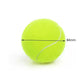 Pet Tennis Thrower Dog Cat Chase Training Fun Toy Reward Machine Intelligent Feeding Machine Throwing Machine with 2 Balls